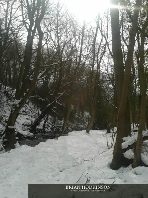 Photograph from my sheffield