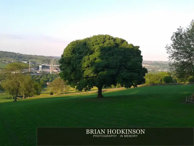 Photograph from my sheffield