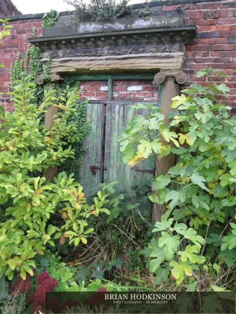 Photograph from my sheffield