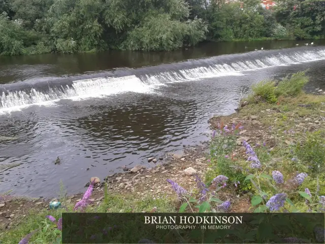 Photograph from my sheffield