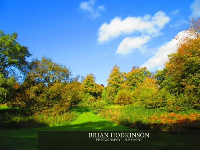 Photograph from my sheffield