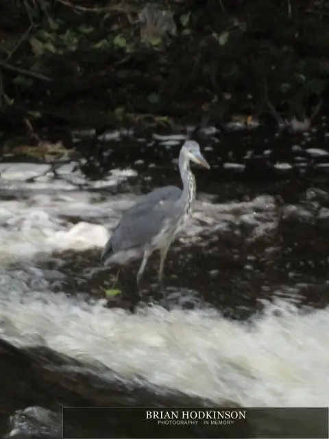 Photograph from my sheffield