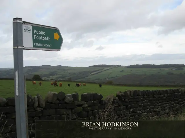 Photograph from my sheffield