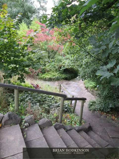 Photograph from my sheffield