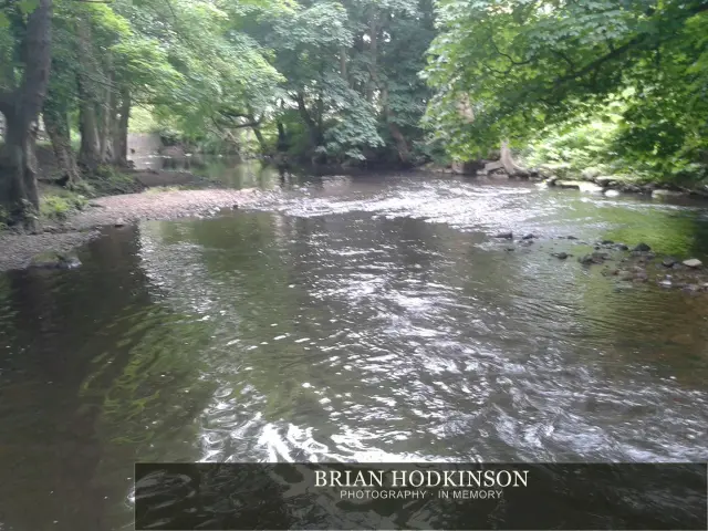 Photograph from my sheffield