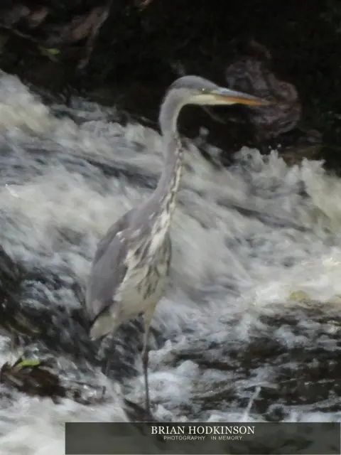 Photograph from my sheffield