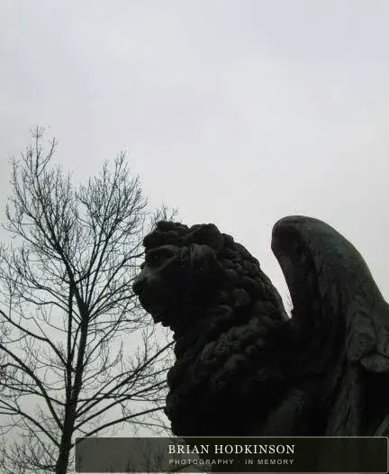 Photograph from my sheffield