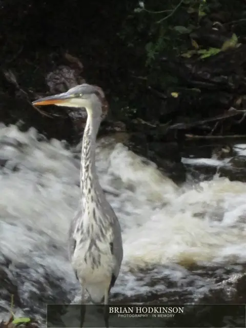 Photograph from my sheffield