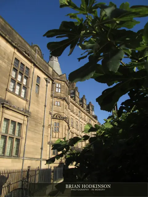 Photograph from my sheffield