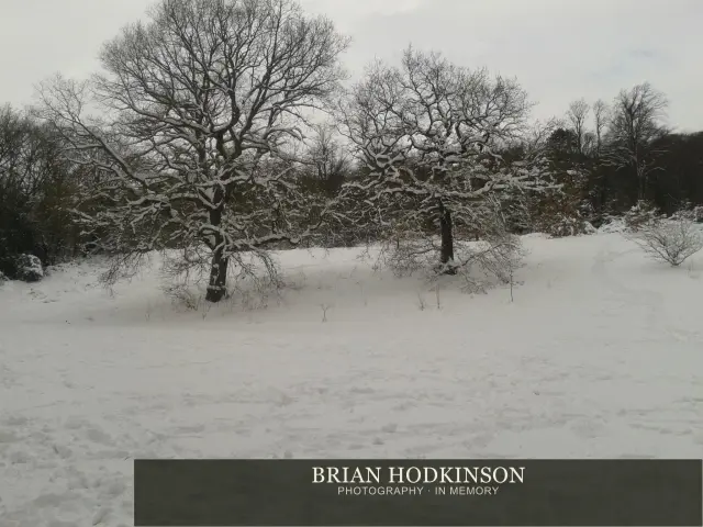 Photograph from my sheffield