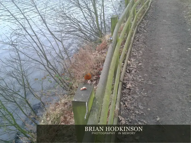 Photograph from my sheffield