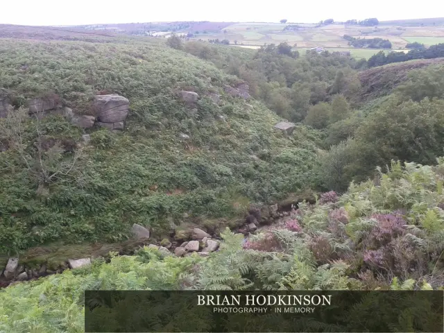 Photograph from my sheffield