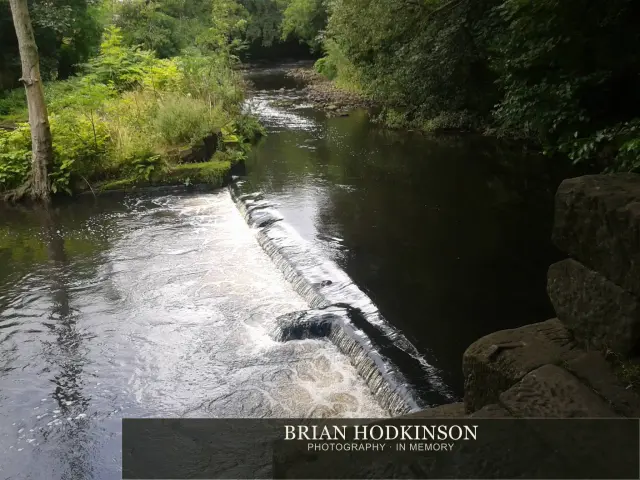 Photograph from my sheffield
