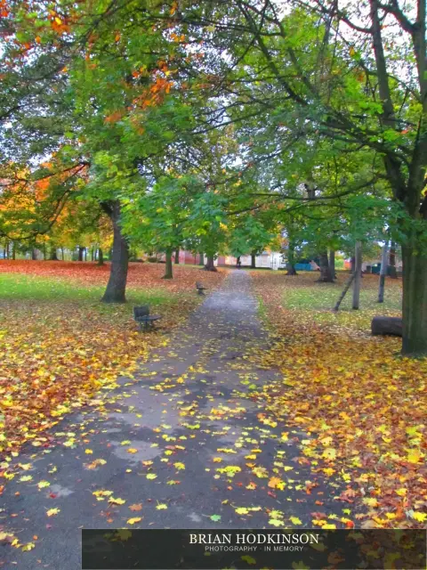Photograph from my sheffield