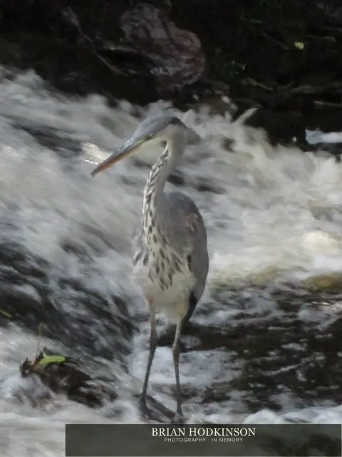 Photograph from my sheffield