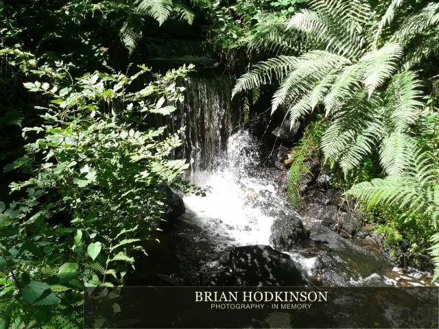 Photograph from my sheffield