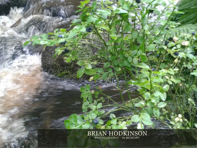 Photograph from my sheffield