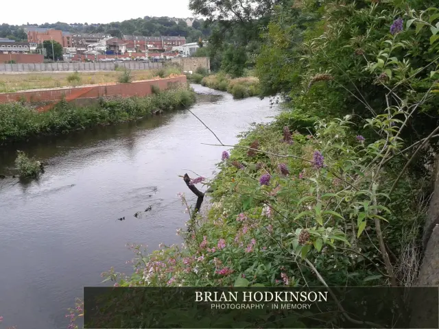 Photograph from my sheffield