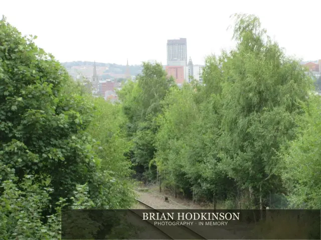 Photograph from my sheffield