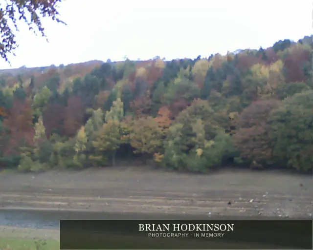 Photograph from November 2 2010 dam flask car park