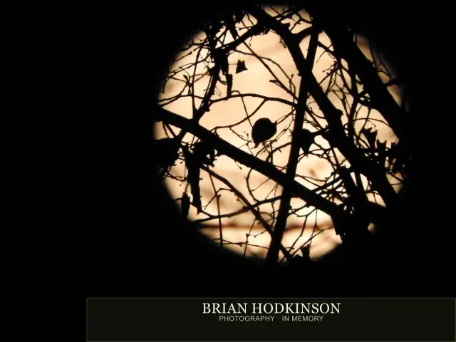Photograph from Super Moon 14.11.2016