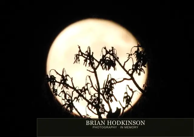 Photograph from Super Moon 14.11.2016