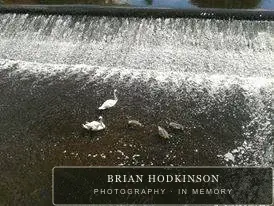 Photograph from the Animals of 2013