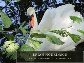 Photograph from the Animals of 2013