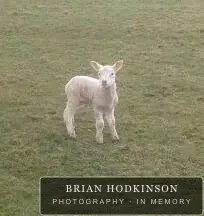 Photograph from the Animals of 2013