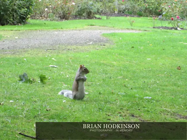 Photograph from the Animals of 2013