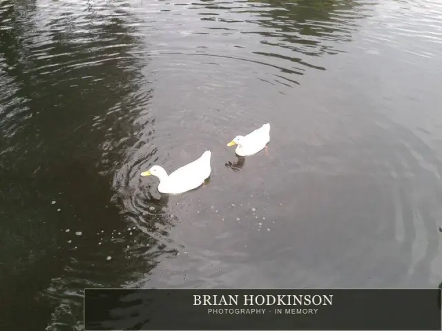 Photograph from the Animals of 2013